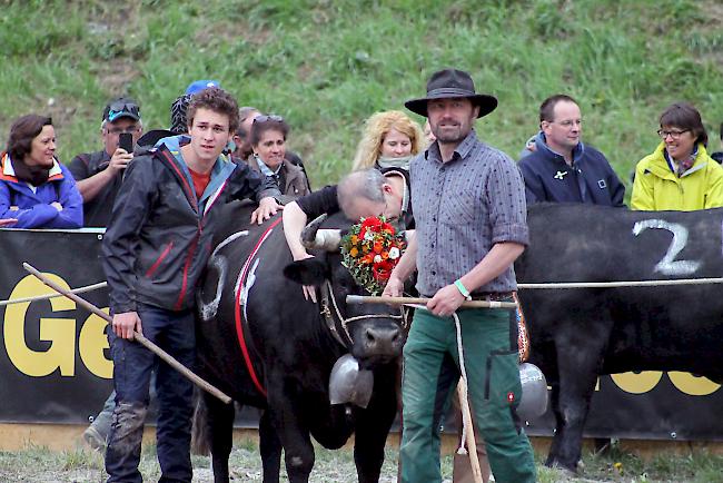 Matthias Tobler aus Le Bouveret stellt mit «Grenache» die Siegerin in der Kategorie Zweitmelken.