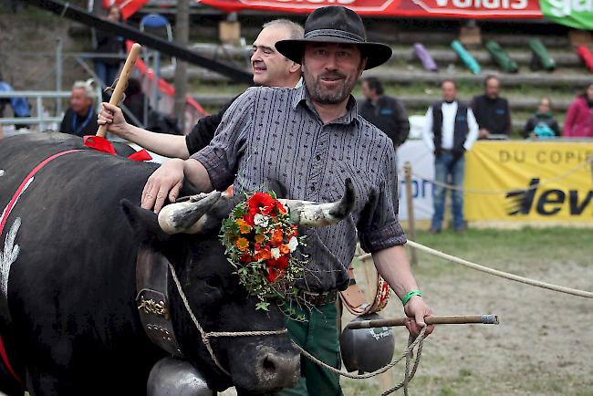 «Grenache», Siegerin in der Kategorie Zweitmelken und ihr stolzer Besitzer Matthisas Tobler bei der Ehrenrunde am Samstagnachmittag in Aproz.