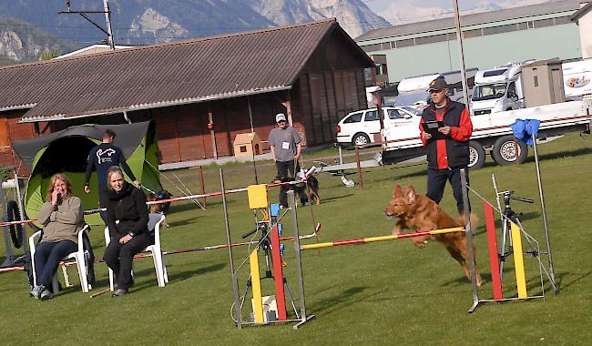 Impressionen aus Steg, das über dieses Wochenende ganz im Zeichen des Hundesports steht.