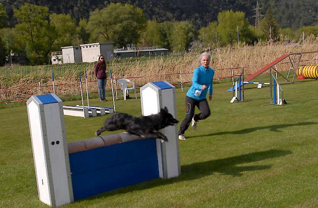 Impressionen aus Steg, das über dieses Wochenende ganz im Zeichen des Hundesports steht.