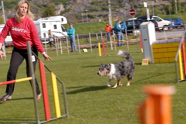 Impressionen aus Steg, das über dieses Wochenende ganz im Zeichen des Hundesports steht.