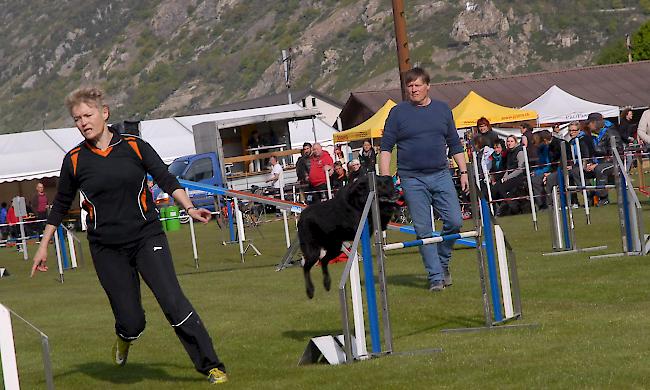 Impressionen aus Steg, das über dieses Wochenende ganz im Zeichen des Hundesports steht.