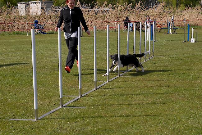 Impressionen aus Steg, das über dieses Wochenende ganz im Zeichen des Hundesports steht.