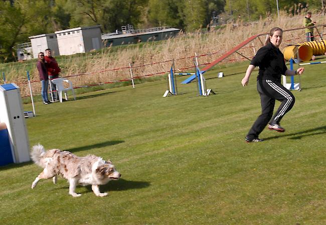 Impressionen aus Steg, das über dieses Wochenende ganz im Zeichen des Hundesports steht.