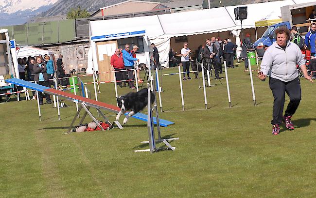 Impressionen aus Steg, das über dieses Wochenende ganz im Zeichen des Hundesports steht.