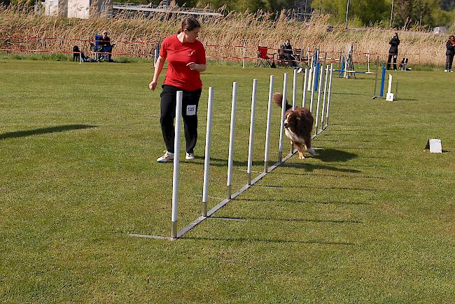 Impressionen aus Steg, das über dieses Wochenende ganz im Zeichen des Hundesports steht.