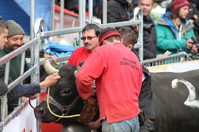 «Scharbo» von den Geschwistern Zurbriggen aus Saas-Grund.