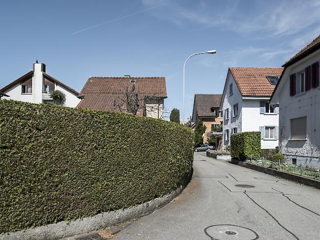 Grausiger Fund: Ein Spaziergänger hat am Dienstagmorgen in Schaffhausen einen abgetrennten Kopf einer schwarzen Katze auf der Strasse gefunden. (Symbolbild)