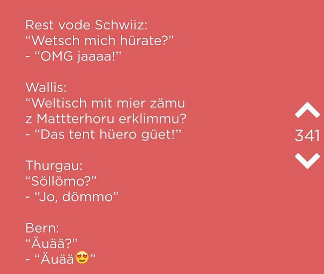 Sprachliche Vielfalt ist oftmals ein Thema auf «Jodel».