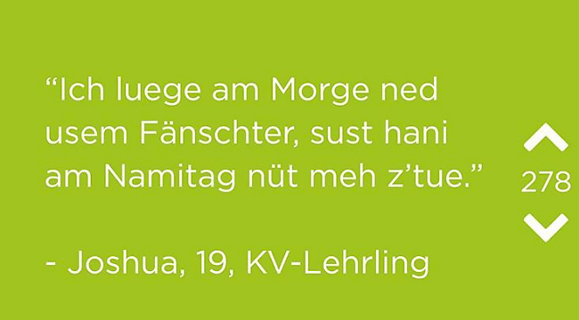 Viele Berufskategorien werden mittels Klischees auf die Schippe genommen.