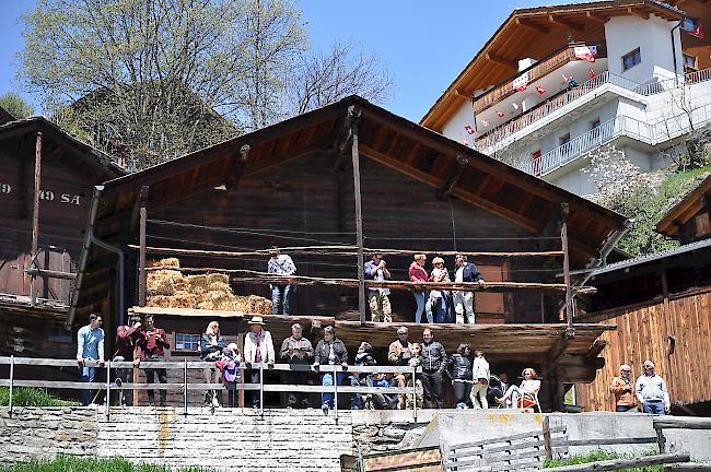 Logenplätze. Törbel in seiner Hanglange eignete sich gut als «natürliche» Tribüne. 