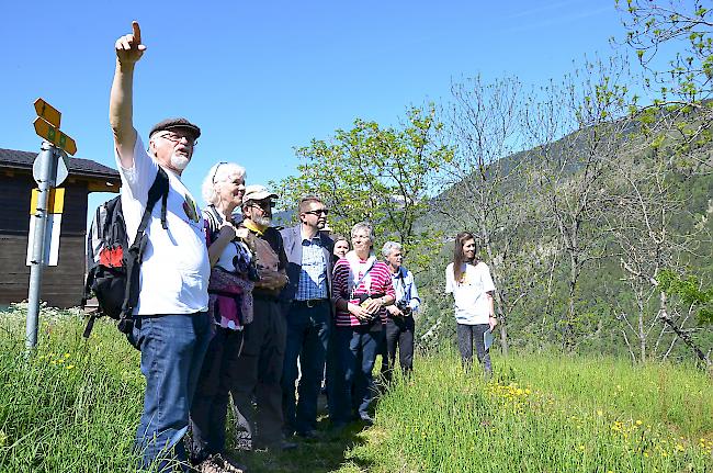 Alex Agten, Präsident der Tulpenzunft Grengiols, erklärt seiner Gruppe die historischen Besonderheiten der Region um Grengiols. Hinten rechts: die junge Biologiestudentin und Zunftmitglied Sabrina Gurten, welche der Gruppe auf dem Tulpenweg viel Informatives zu erzählen wusste – nicht nur über die Grengjer-Tulpe, sondern auch über die Region und ihre Geschichte.