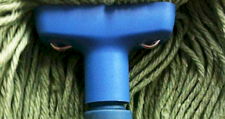 M&uuml;rrischer Wischmop