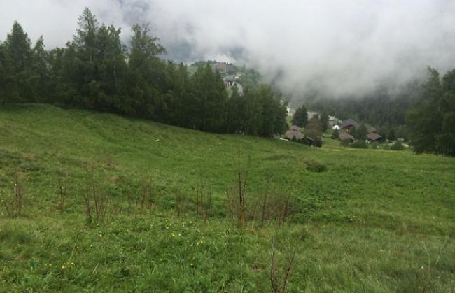 Die Risse ereigneten sich oberhalb des Dorfes Unterbäch.