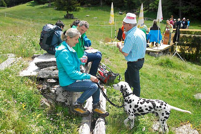 Weitere Eindrücke des Alpaufzugs.