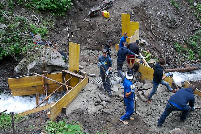 Auf dem Waldweg oberhalb von Blitzingen wird eine Brücke ganzjahrestauglich gemacht. 