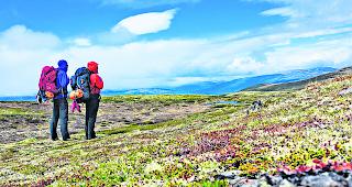 Unber&uuml;hrt. Der Olavsweg f&uuml;hrt rund 100 Kilometer &uuml;ber das wildromantische Dovrefjell. 