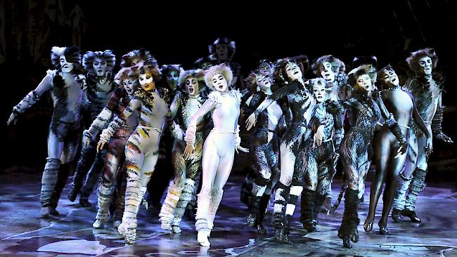 «CATS» als nächstes Musical der Thunerseespiele 2017.