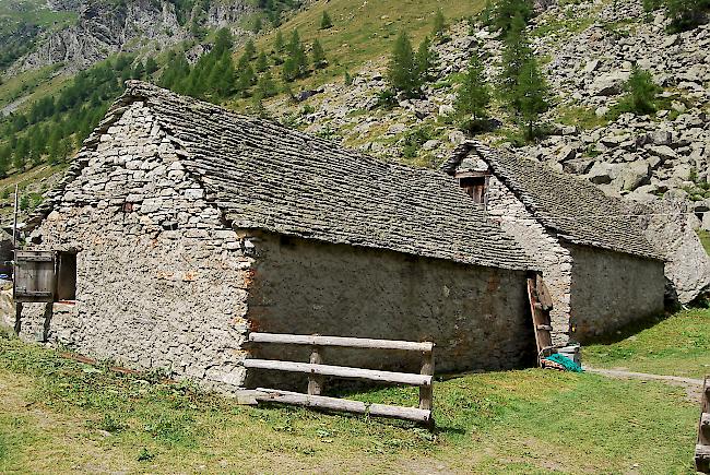 Eindrücke vom diesjährigen Alpwerk auf der Alpe «Pontimia».