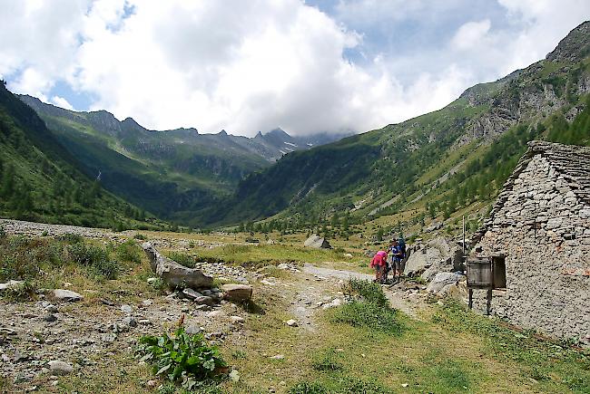 Eindrücke vom diesjährigen Alpwerk auf der Alpe «Pontimia».