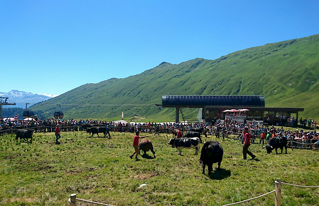 Impressionen des Sommerstechfests auf der Belalp.