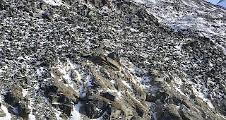 Neu sollen auch Massenbewegungen wie zum Beispiel Rutschungen in die Vorhersage- und Warnt&auml;tigkeit des Bundes aufgenommen werden. (Archiv)