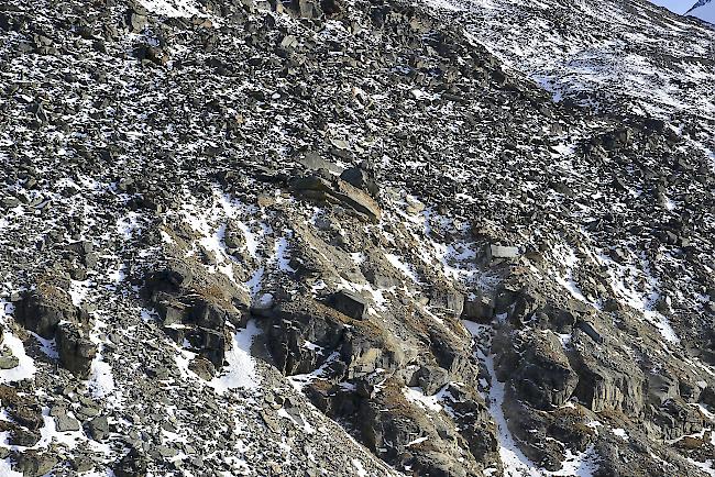 Blick auf die Rutschung Längenschnee oberhalb Herbriggen.