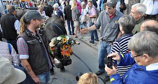 Die Stars. Am Samstagmorgen trafen Tierhalter und Vieh nach dem Alpabzug auf dem Dorfplatz ein &ndash; zur Freude vieler Schaulustiger.