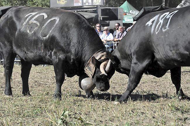 Eindrücke aus Raron