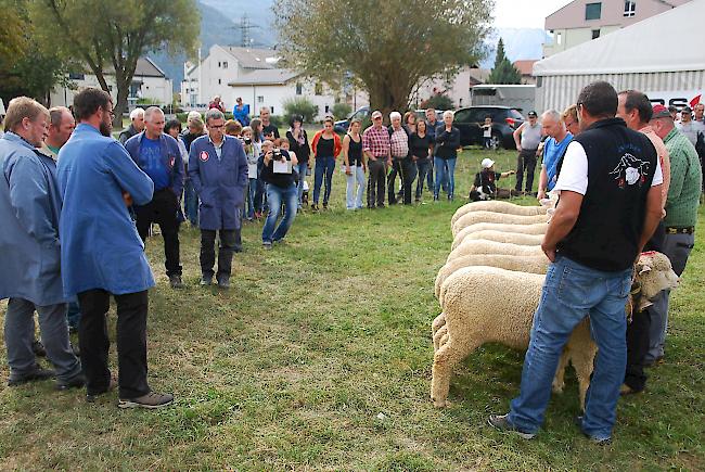 Eindrücke der Finalrunden am Interkantonalen.