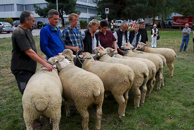 Eindrücke der Finalrunden am Interkantonalen.