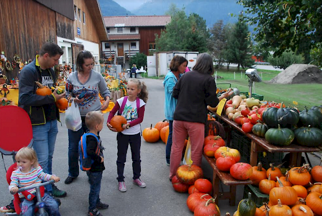 Kürbisse in allen Formen und Grössen wurden zum Verkauf feilgeboten.
