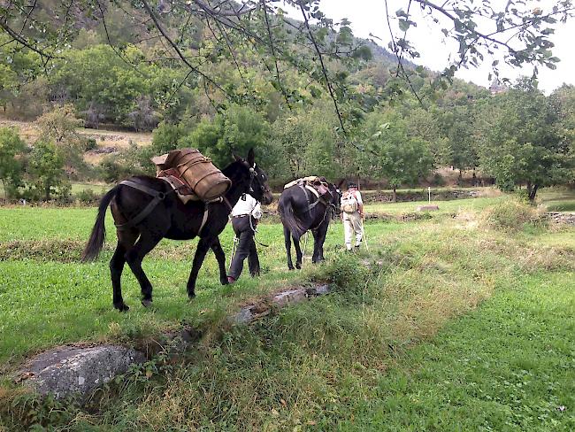 Wanderung des Vereins «Urchigs Terbil». 