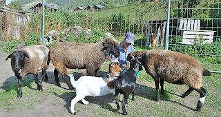 Jolanda Schwegler k&uuml;mmert sich liebevoll um ihre Tiere.