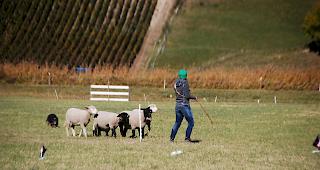 Impressionen vom Wettbewerb.