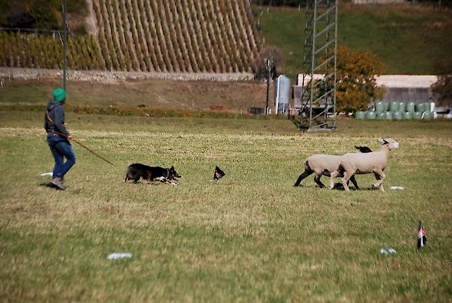 Impressionen vom Wettbewerb.