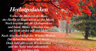 Herbstgedanken...