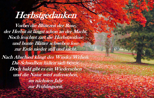 Herbstgedanken...