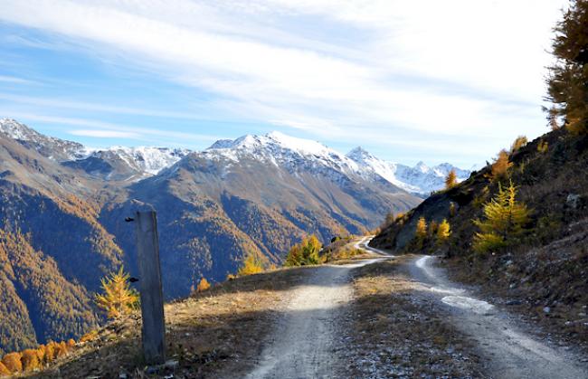 Der Blick ins Turmanntal stimmt derzeit herbstlich.