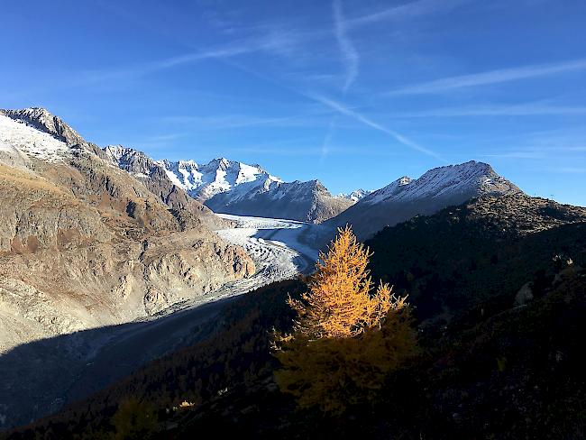 Aktuelle Lage auf der Riederalp.