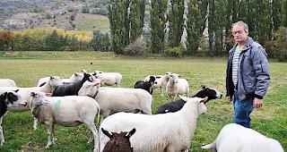 Herbert Volken, Pr&auml;sident der Schweizerischen Milchschafz&uuml;chter, empf&auml;ngt diese Woche Kollegen aus dem deutschsprachigen Europa.