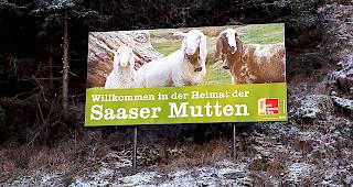 Die Infotafel soll die Leute f&uuml;r die Saaser Mutten sensibilisieren.