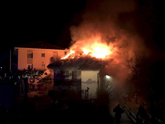 Die Feuerwehr stand mit insgesamt 55 Mann im Einsatz.