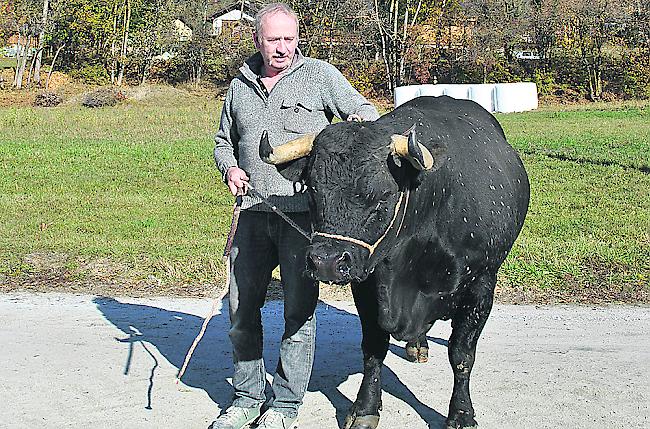 Jean Moulin mit Rubis – die nationale Königin ist jetzt auch Alpkönigin.