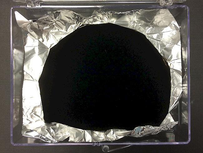 Das schwärzeste Schwar: «Vantablack». Achtung! Ihr dürft nicht damit «spielen», hat Anish gesagt.