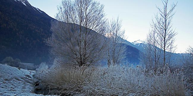 Eisige Pracht. Das Oberwallis wird derzeit von einer Kältewelle heimgesucht.