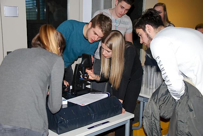 In einer Art Postenlauf lernten die Schüler verschiedene Walliser Unternehmen kennen und durften einige Aufgaben lösen. 