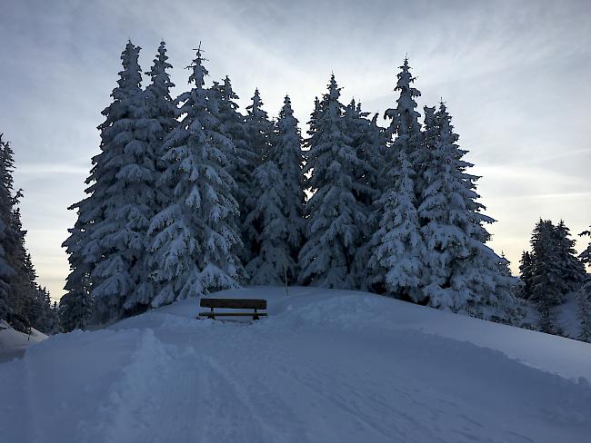 Am Freitag gab es grosse Mengen an Schnee in der Region. (Symbolbild)