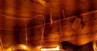 Die Hanfanlage, die der Mieter in zwei Zimmern der Wohnung installierte, war unter anderem mit W&auml;rmelampen ausgestattet.