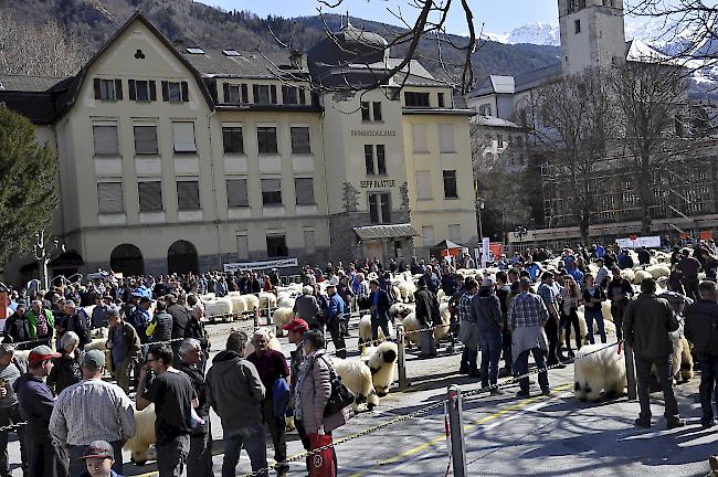 Der grosse Schauplatz beim Sepp-Blatter-Schulhaus in Visp.